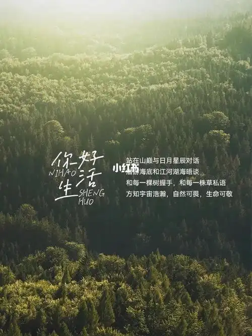 被你好生活的文案打动了又平静又高级