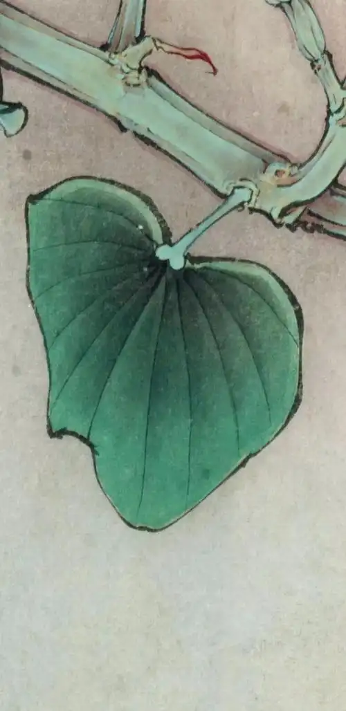 图文教程 | 李晓明工笔画《紫荆花 凤蝶》完整绘制步骤说明