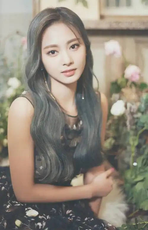 中国台湾流行乐女歌手,舞者,韩国女子演唱团体twice成员