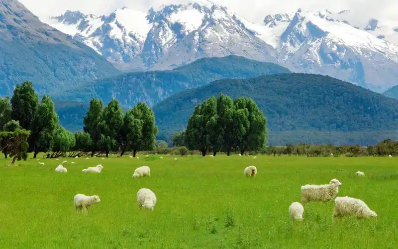 大自然清新唯美风景图片高清壁纸