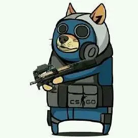 csgo游戏头像男生: dont let the past steal your present.