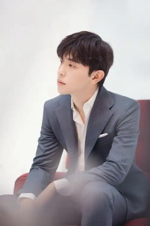 邓伦粉色玫瑰氛围大片