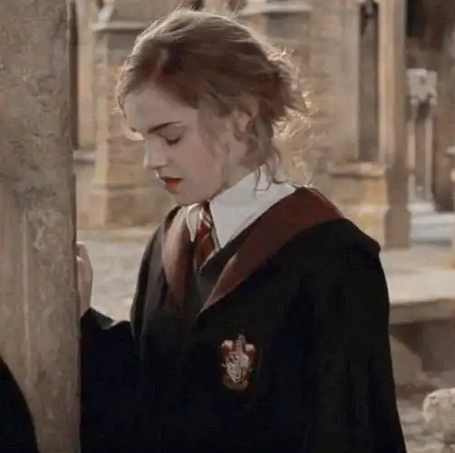 霍格沃兹格兰芬多