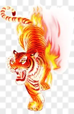 火焰虎png图片