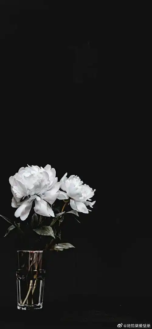壁纸分享黑白手机壁纸超话#手机壁纸##高清壁纸
