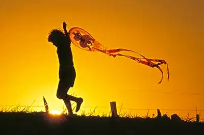 追风筝的人故事概述