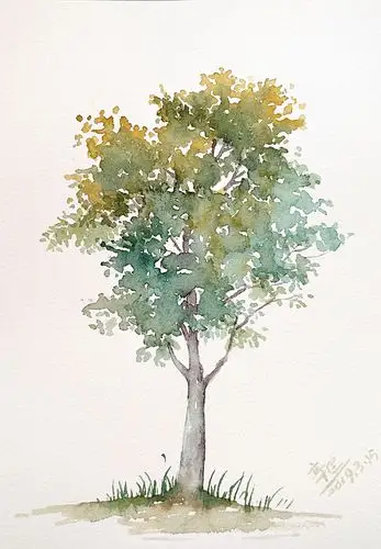 最近的手绘水彩大树