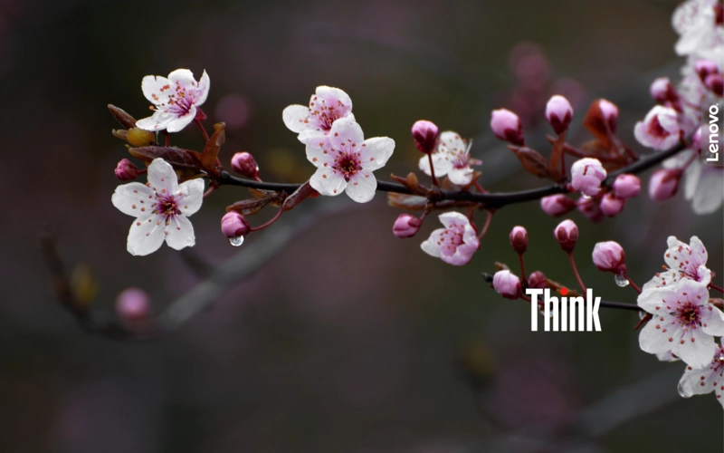 分享三张新的thinkpad壁纸