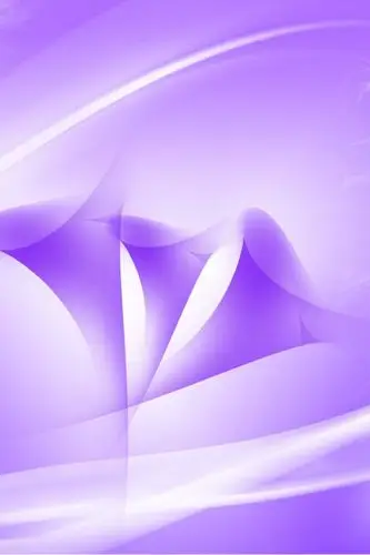 紫色壁纸