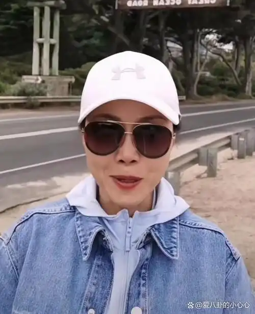 田震回归引争议国内赚钱澳洲花或将成为下一个蒋大为