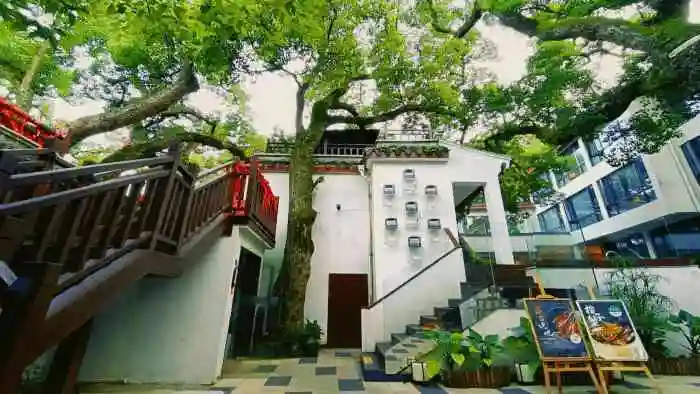 普陀山开元观堂酒店-"五月中旬来普陀山朝拜 开元观堂普陀山店就.