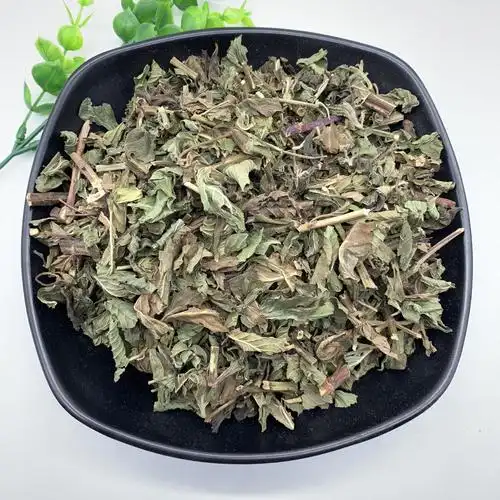 薄荷 薄荷统段 药用薄荷1000g起批录建药业供应无硫常用中药材