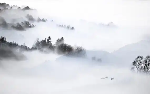 意境水墨画图片