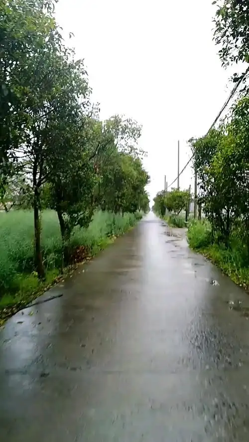 乡村生活#下雨天