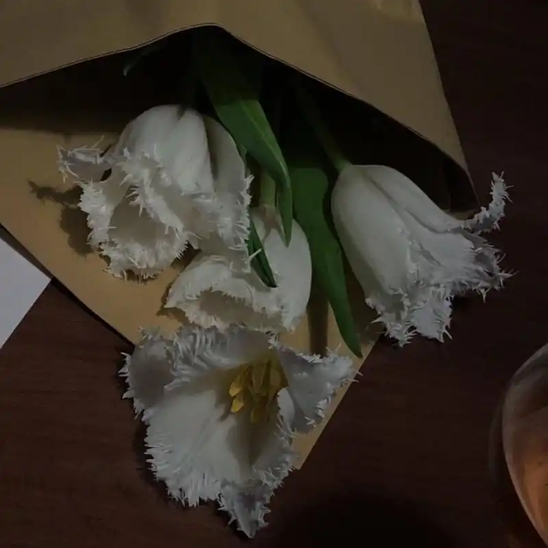 ins潮图朋友圈背景图/高质量/神仙背景