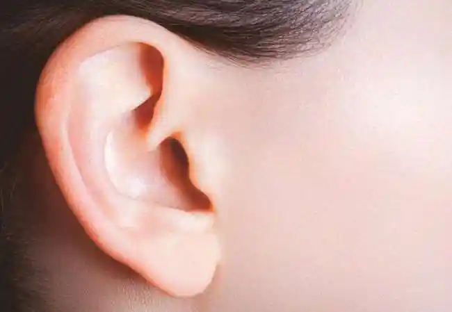 有些人的耳朵可以动来动去_有些的人耳朵可以动来动去?