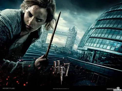 关于电影的一切