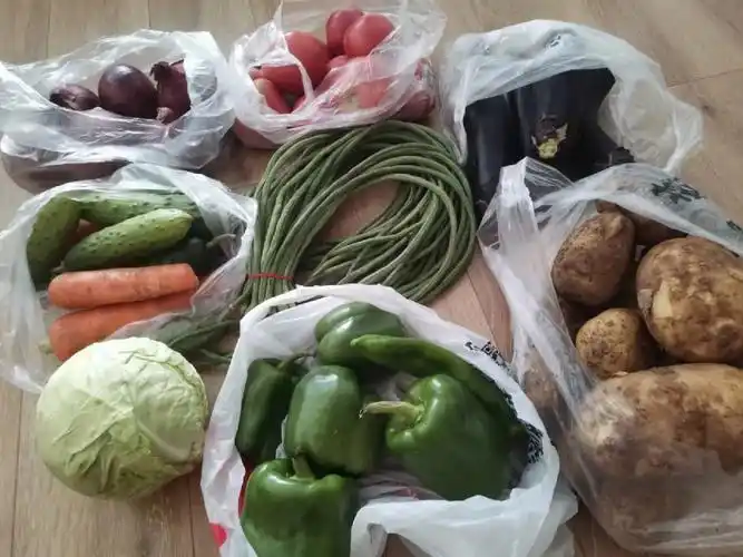 大连中山区买菜