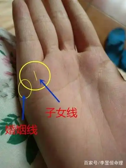 手掌看女人生几个孩子吗(看女人手相怎么看一生有几个孩子)