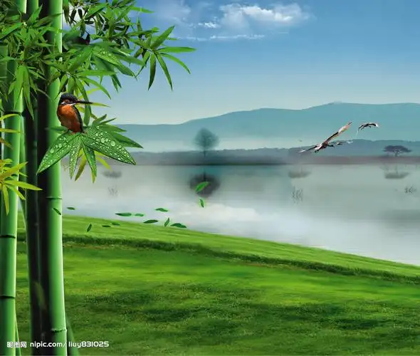 p>竹海,由漫无边际的竹林组成,四周青山环抱,湖水常年清澈如镜,水在