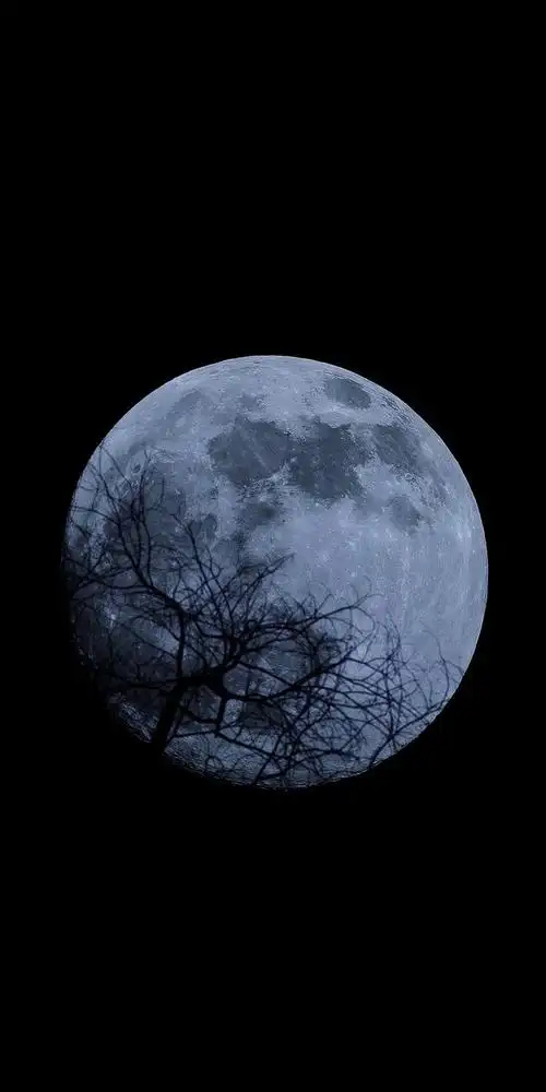 曲面屏壁纸分享.