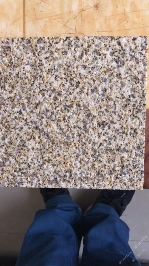 黄金麻                  湖北黄金麻             浏览 156       赞