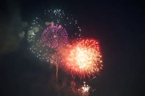 空中绚烂的烟花图片 - 第6张