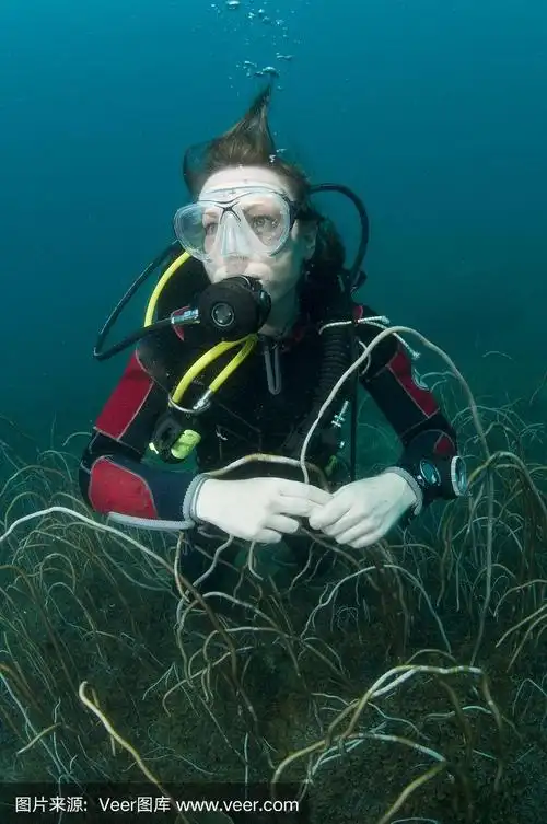 年轻的女性潜水者在珊瑚上游泳