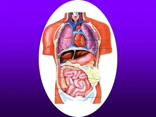 假如切除胆囊会出现哪些后遗症医生终于说出实情
