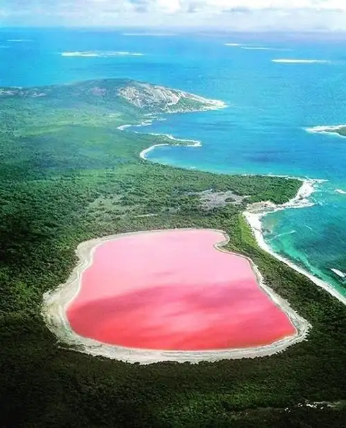 美到不能呼吸了!