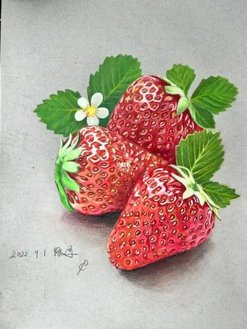彩铅画水果草莓