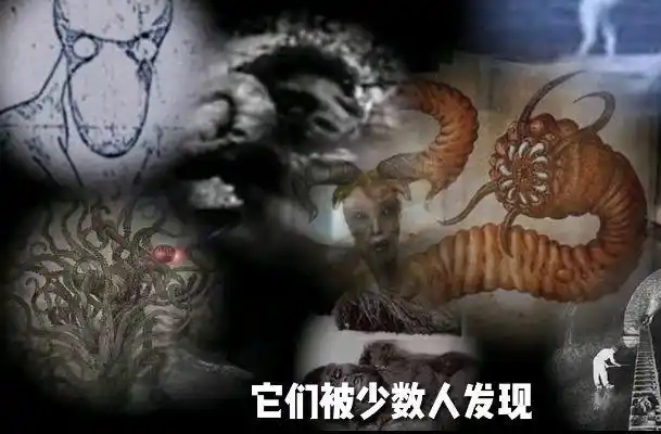 「uma」系列②——马里兰山羊人事件!神秘生物