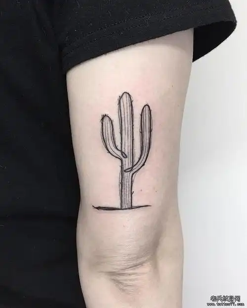线条仙人掌手臂纹身图案