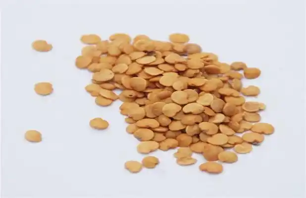 茄子种子催芽方法