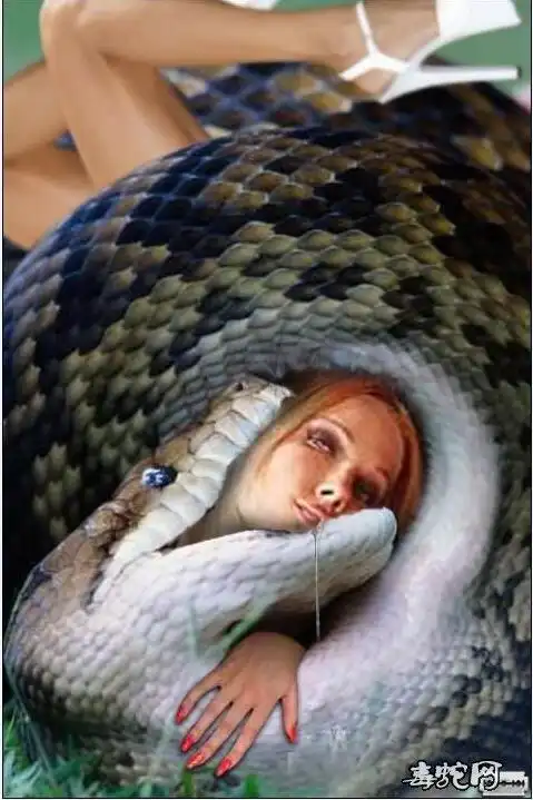 蟒蛇吃掉三个美女图片大全