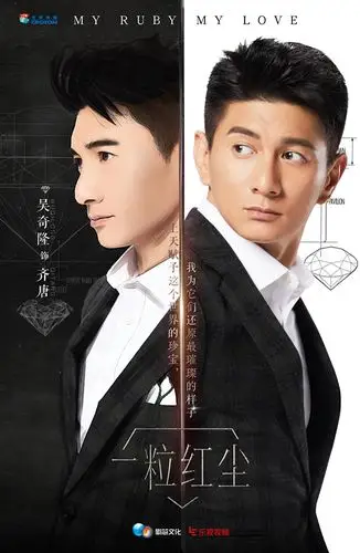 乐视视频《一粒红尘》曝主题海报 吴奇隆颖儿"初露锋芒"_电视要闻