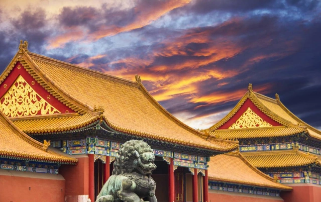 600多年来,为何故宫屋顶没有鸟粪?原来是这样!