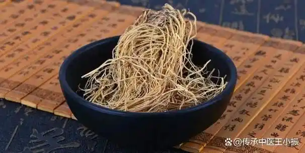 细辛具有辛散的作用,能够将附子的药力散布到全身各处,特别是宗筋部位