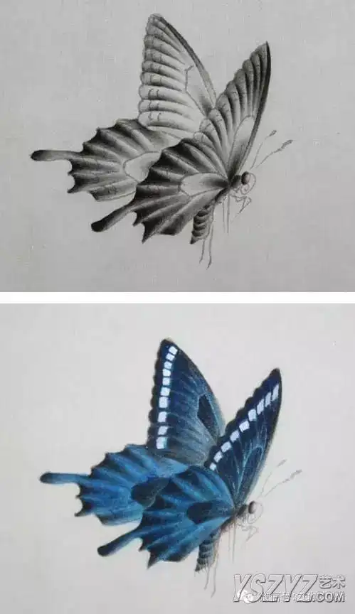 蝴蝶工笔技法步骤2