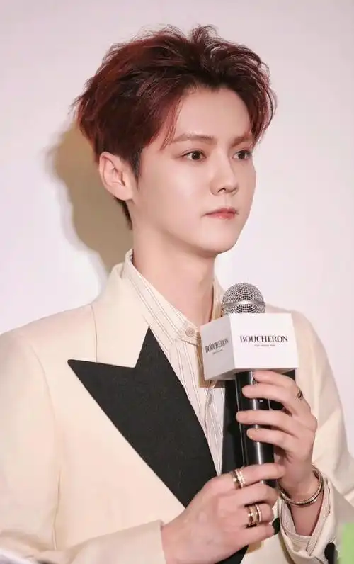 鹿晗北京活动生图