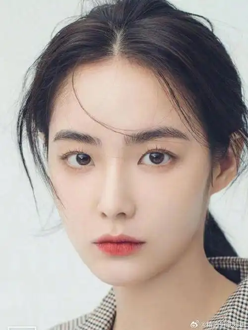 杨颖,刘亦菲,范冰冰外大多数比较参考网红韩国——模版高允真,林珍娜