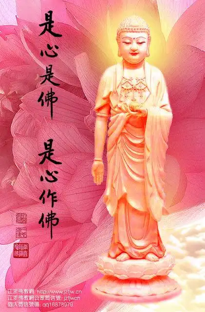 为什么念"南无阿弥陀佛"?