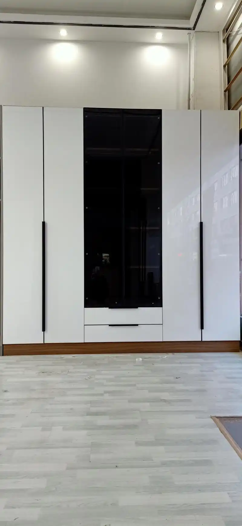 潮流衣柜 现在比较流行的卧室衣柜