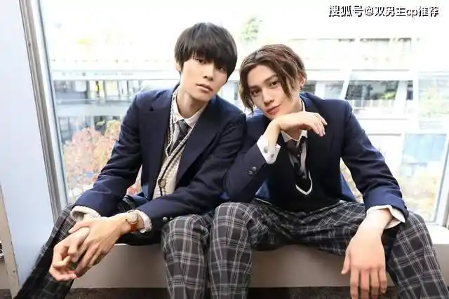 日剧双男主大尺推荐最火电视剧腐剧双男主电影推荐