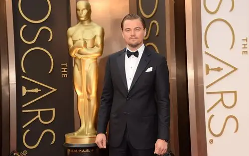 莱昂纳多·迪卡普里奥第88届奥斯卡金像奖主题壁纸