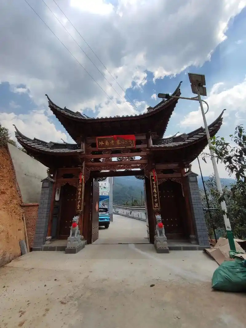 临沧市冰岛老寨48号,大树茶叶,每公斤1360093一万三仟 - 抖音