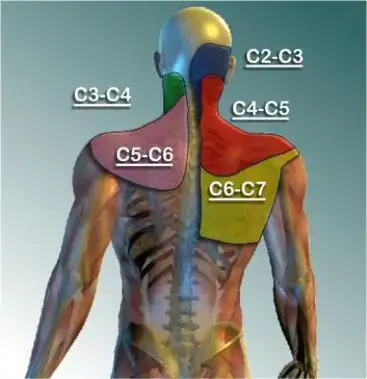 后脑勺一下一下的痛和颈椎有关系吗枕神经痛的原因特点和治疗