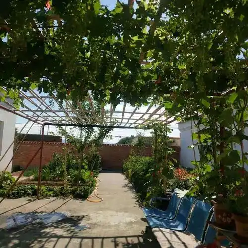 美丽乡村建设:晒晒我的农家小院