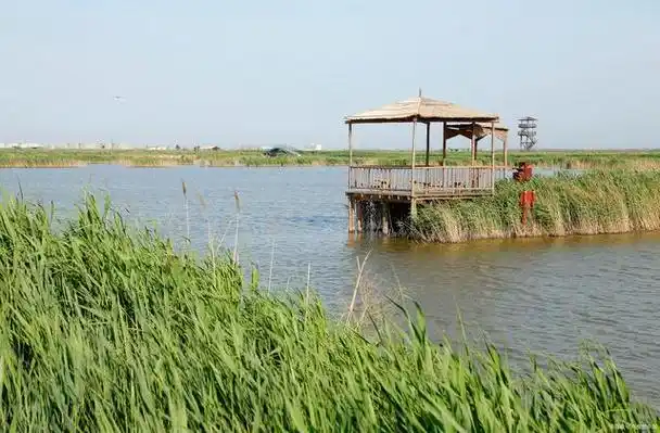 江苏宿迁洪泽湖湿地景区:自然宝藏的静谧天堂