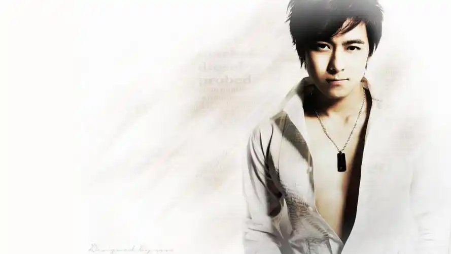 林志颖"亚洲小旋风"高清精美壁纸